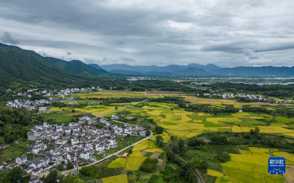 5k登录手机会员